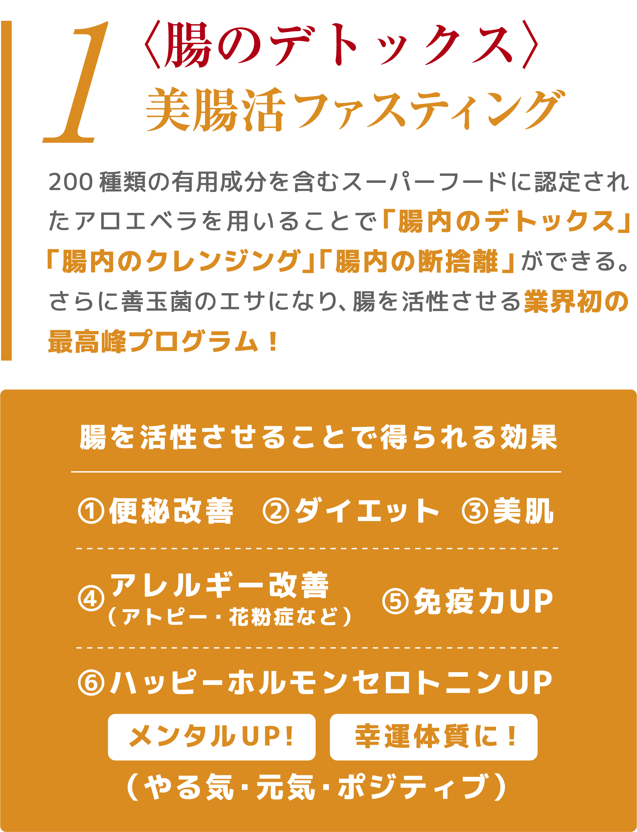 腸のデトックス