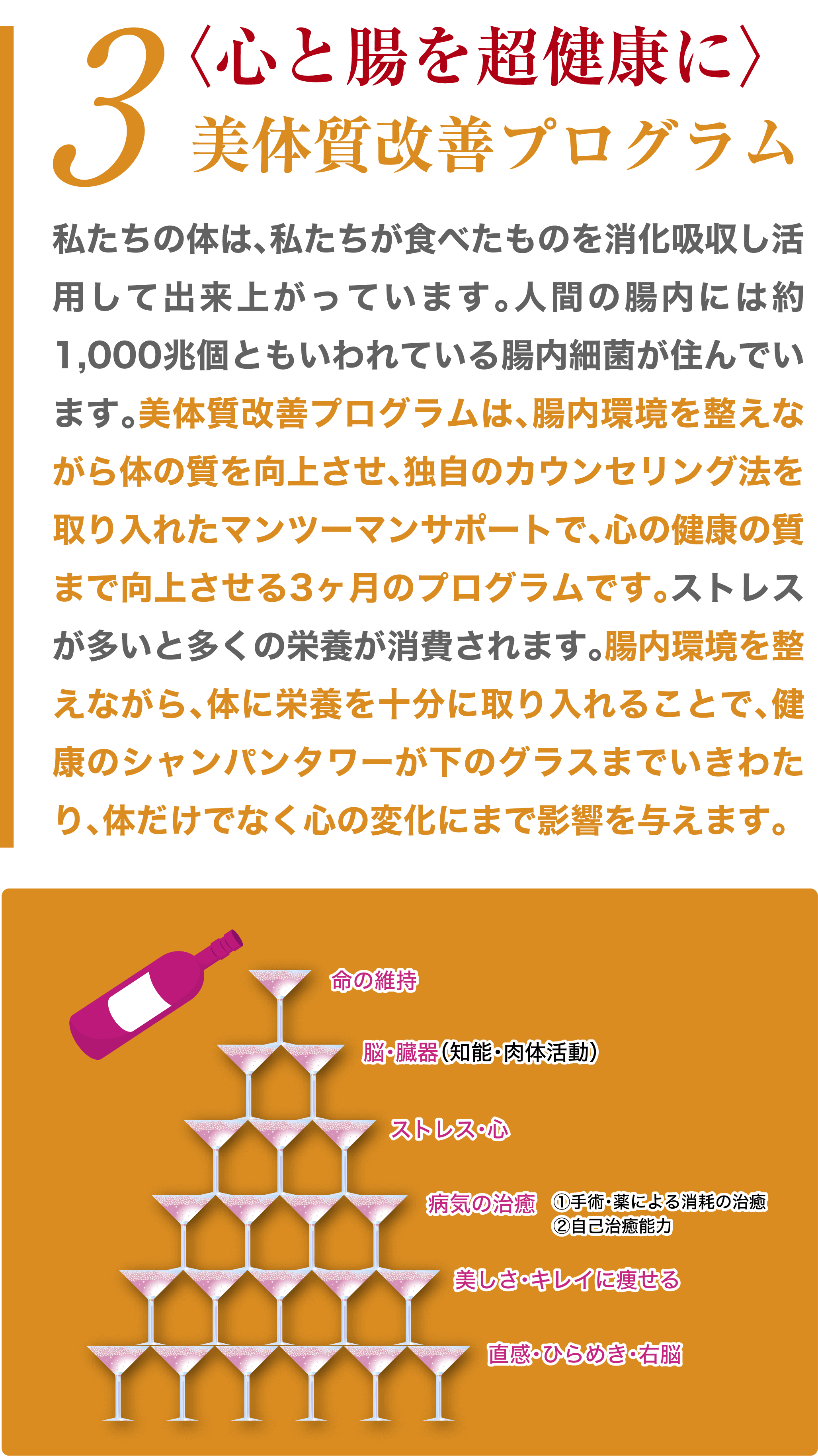 心と腸を超健康に